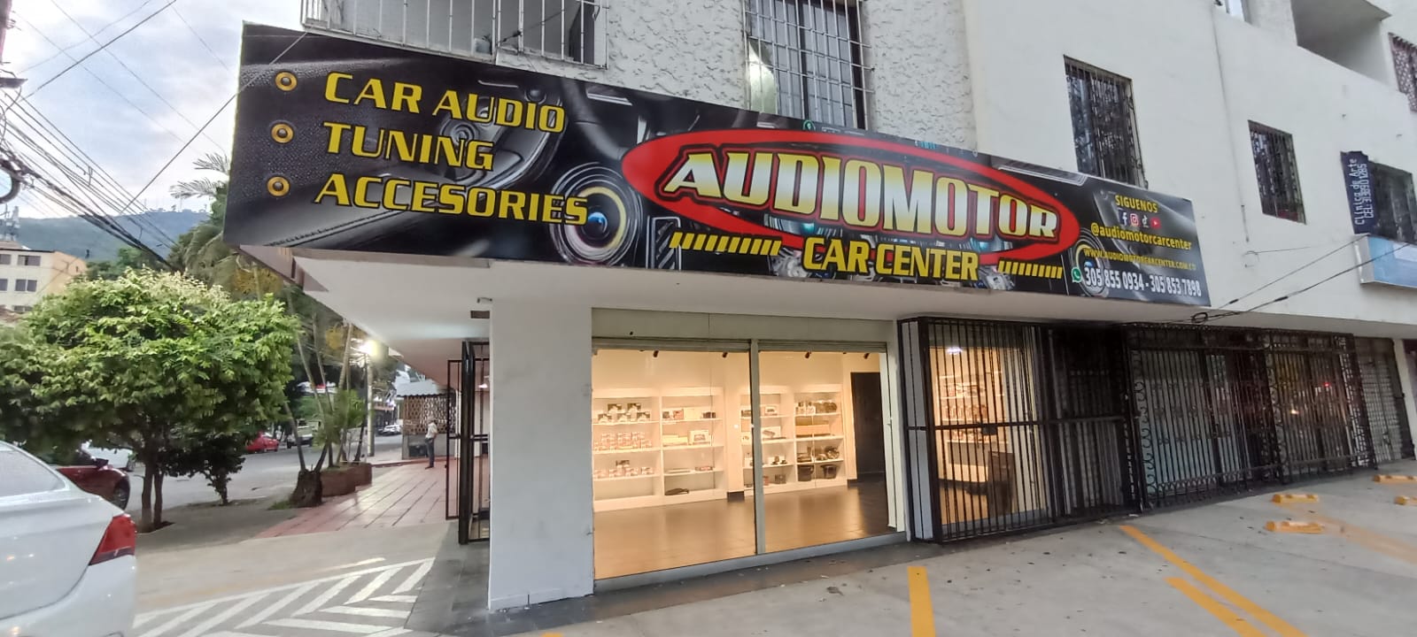 audimotor